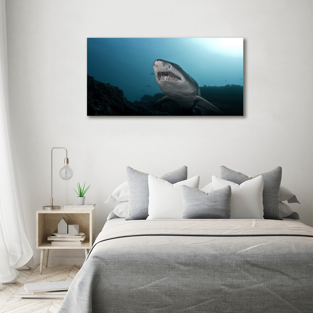 Tableau verre imprimé Grand requin