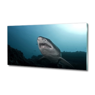 Tableau verre imprimé Grand requin