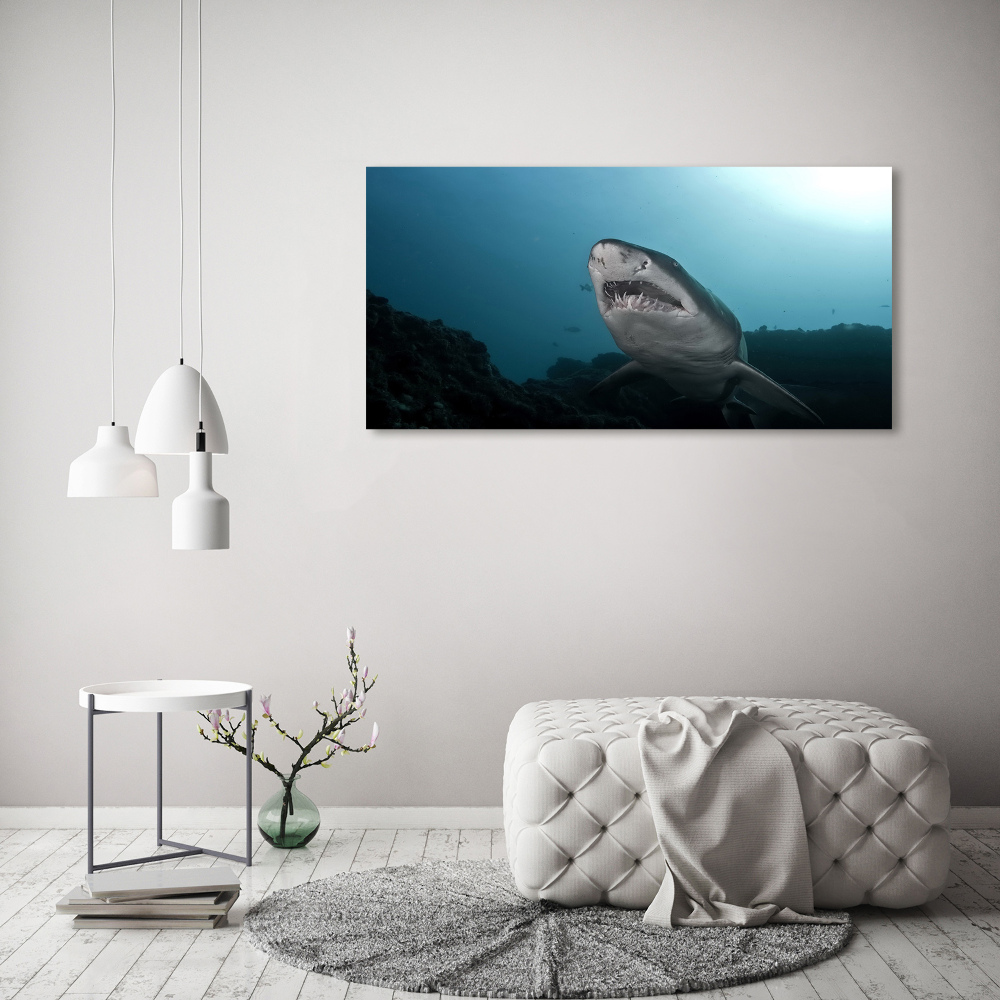 Tableau verre imprimé Grand requin