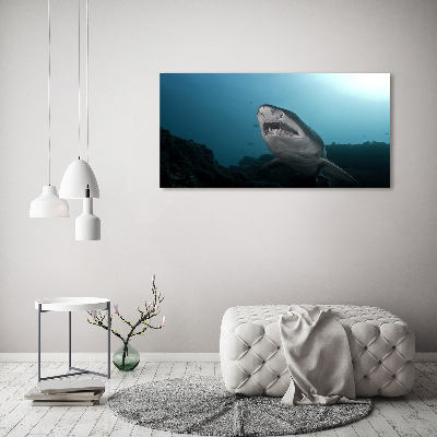 Tableau verre imprimé Grand requin