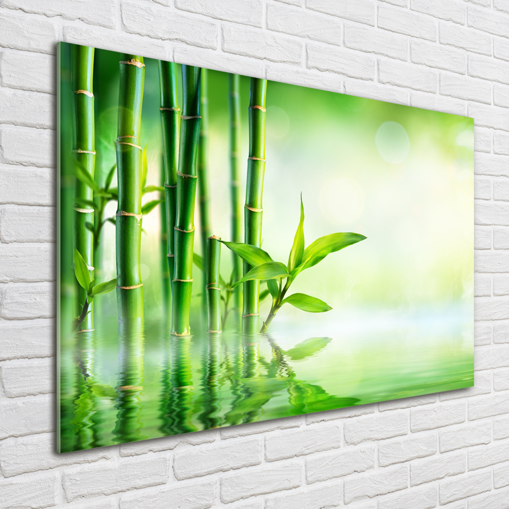 Tableau en verre Bamboo