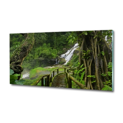 Tableau sur verre Chute d'eau dans la jungle