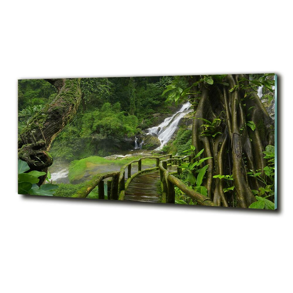 Tableau sur verre Chute d'eau dans la jungle