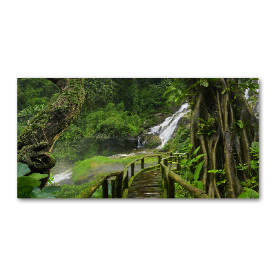 Tableau sur verre Chute d'eau dans la jungle