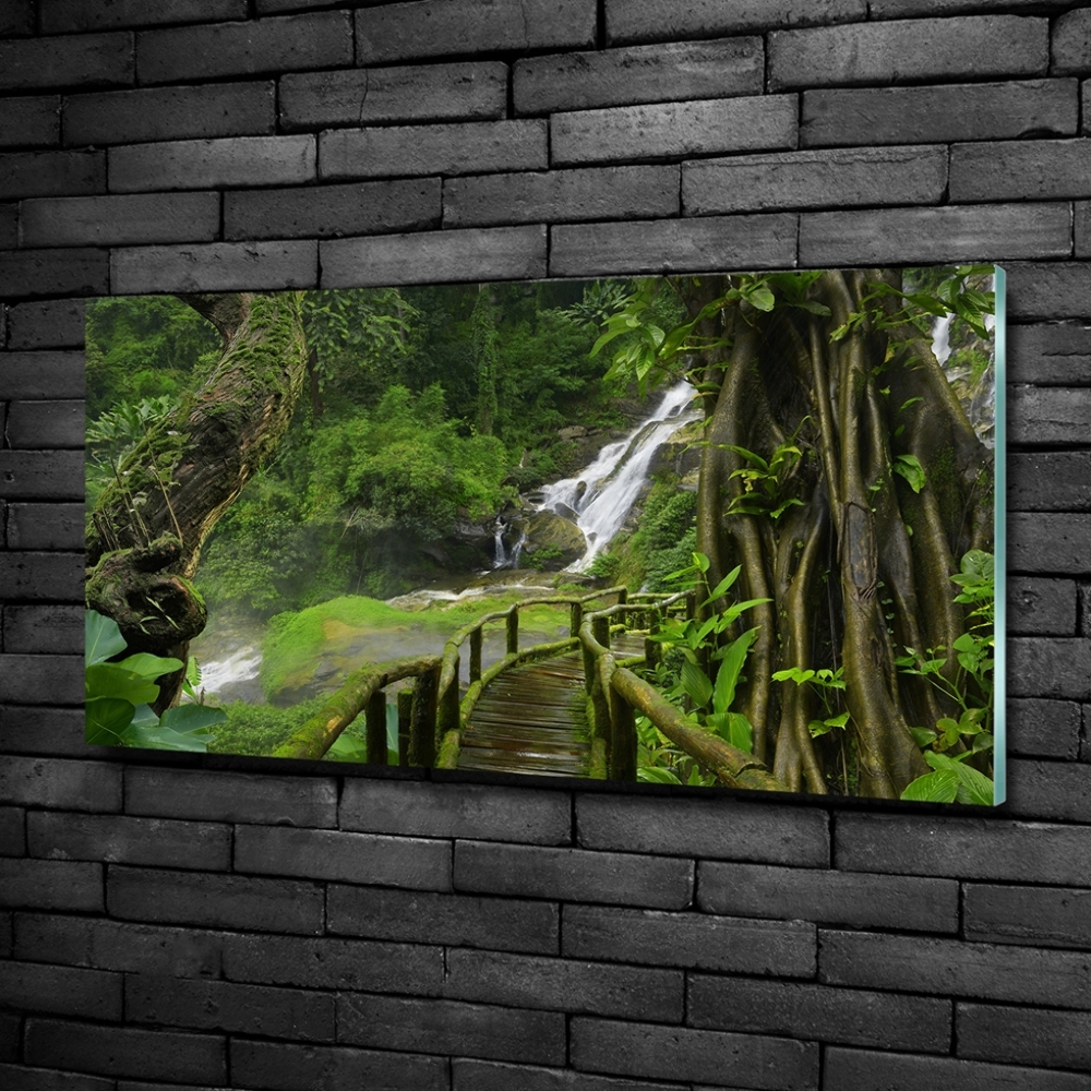 Tableau sur verre Chute d'eau dans la jungle