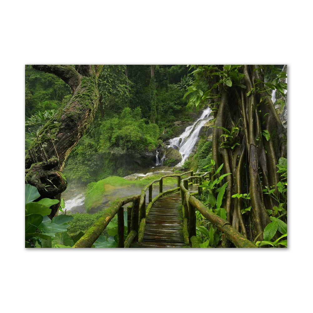 Tableau sur verre Chute d'eau dans la jungle