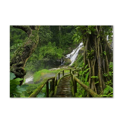 Tableau sur verre Chute d'eau dans la jungle