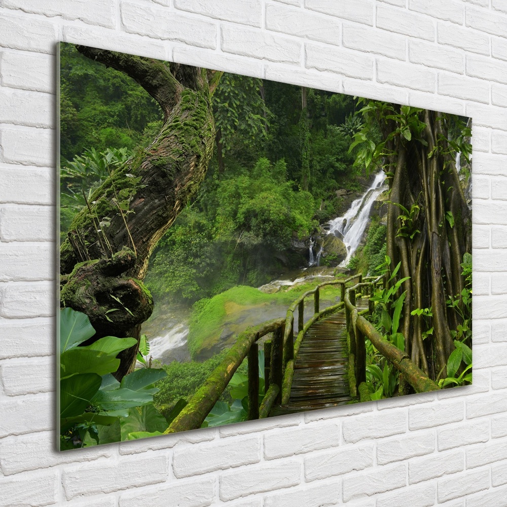 Tableau sur verre Chute d'eau dans la jungle