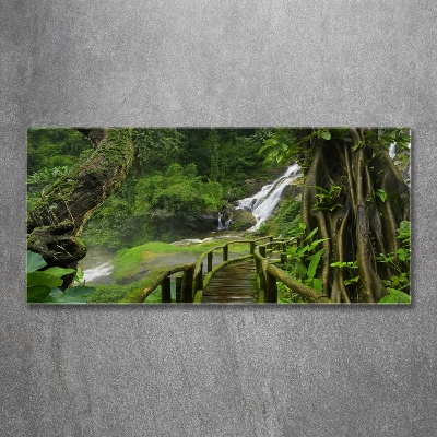 Tableau sur verre Chute d'eau dans la jungle