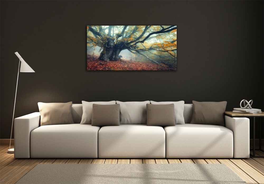 Tableau photo sur verre Vieil arbre