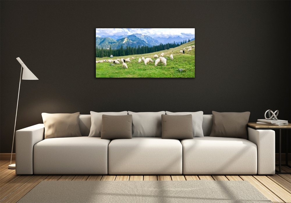 Tableau imprimé sur verre Mouton dans les Tatras