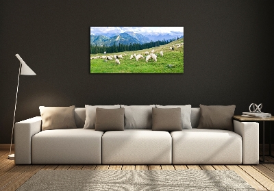 Tableau imprimé sur verre Mouton dans les Tatras