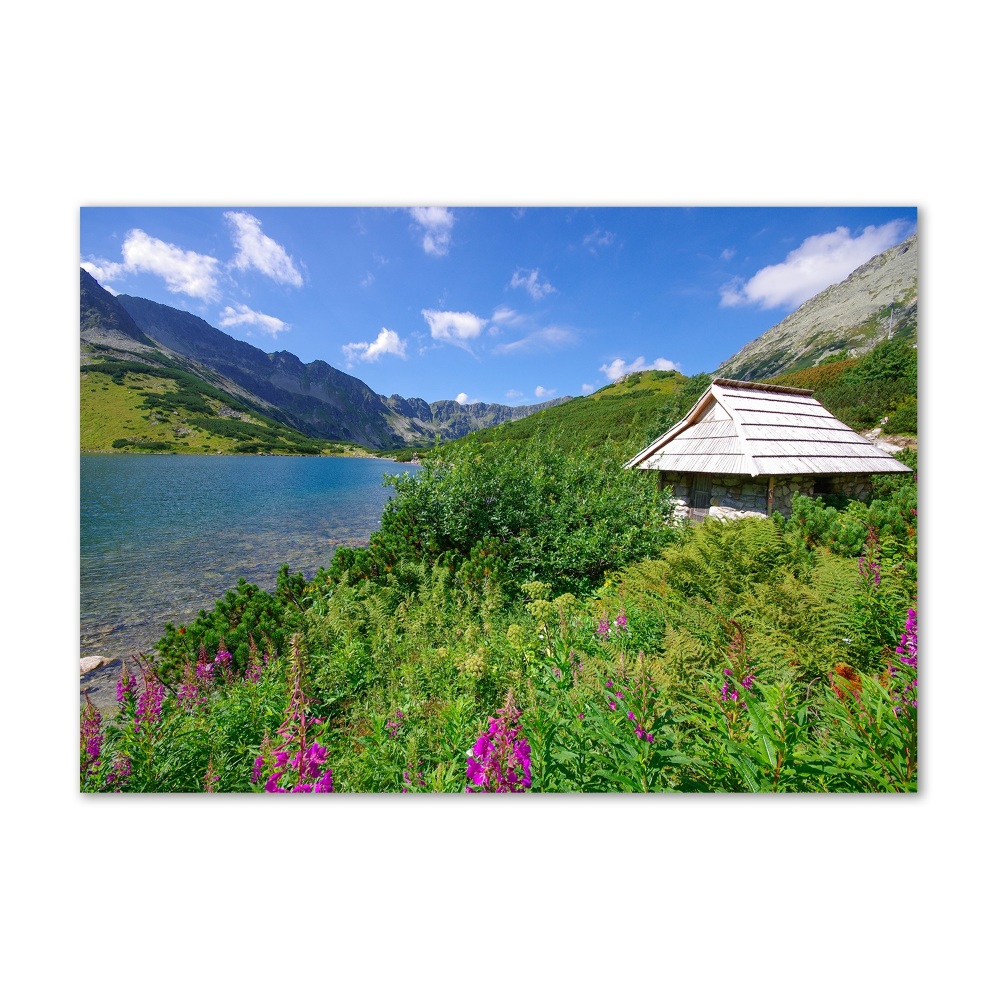 Tableau verre imprimé Chalet dans les Tatras