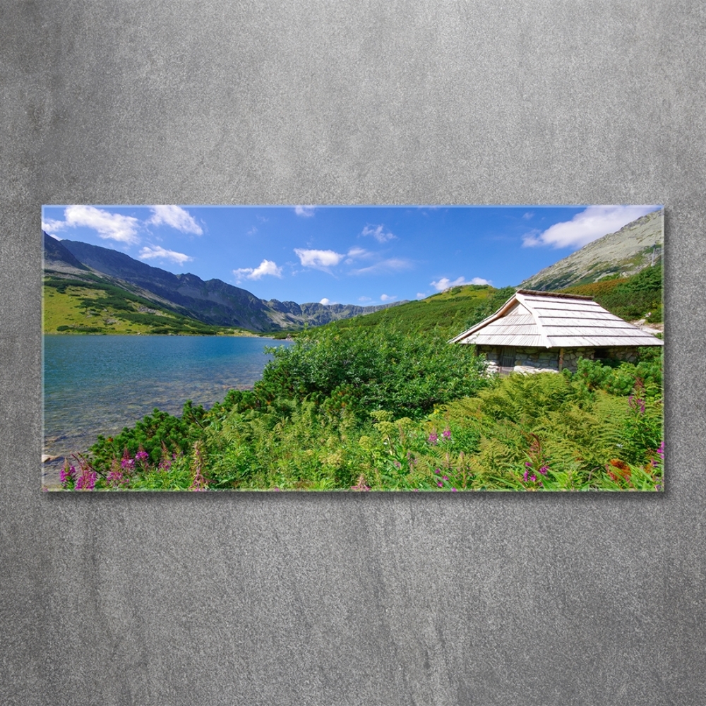 Tableau verre imprimé Chalet dans les Tatras