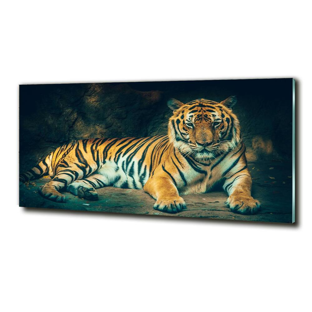 Tableau en verre Tigre dans une grotte