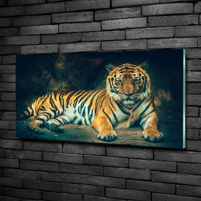 Tableau en verre Tigre dans une grotte