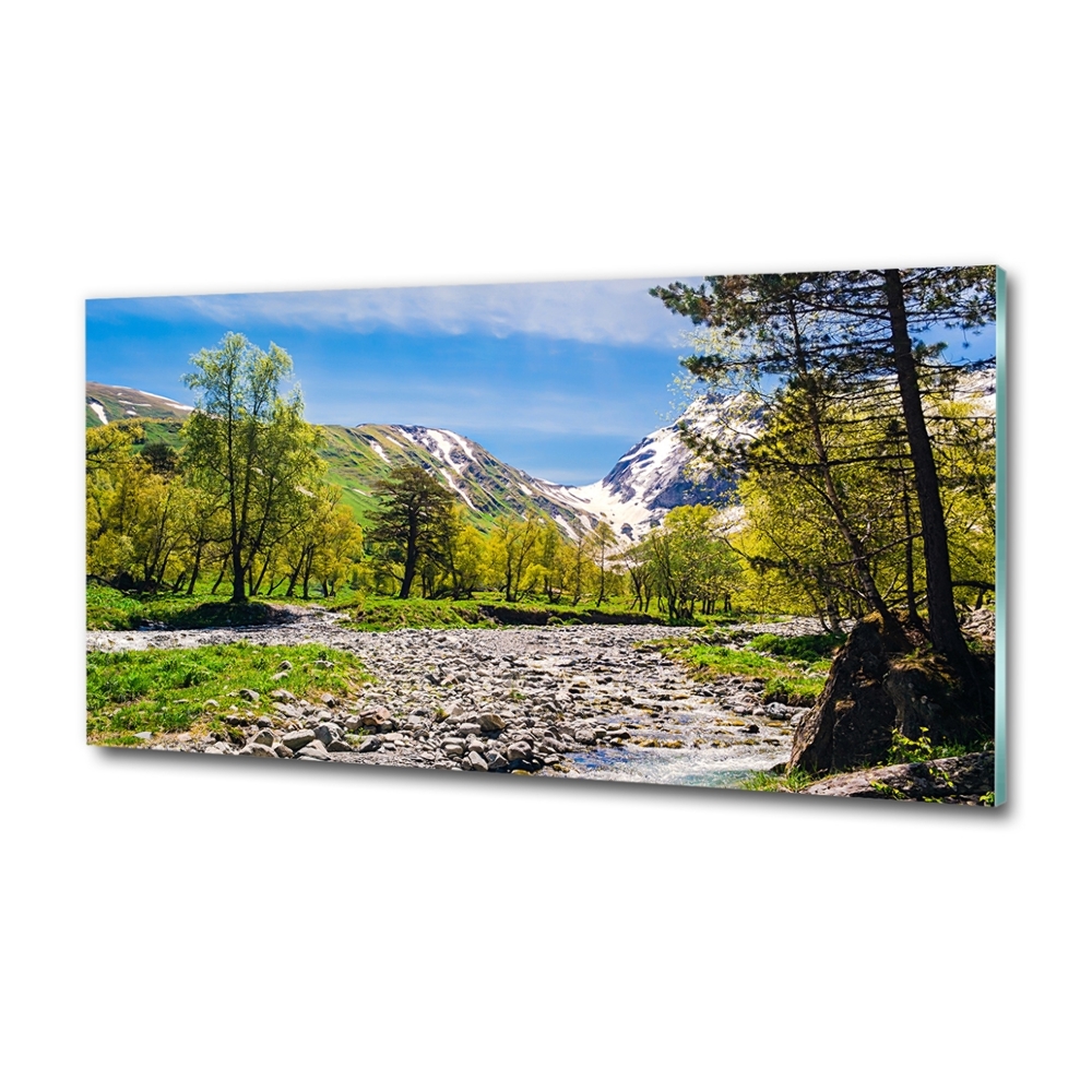 Tableau en verre Rivière dans les montagnes