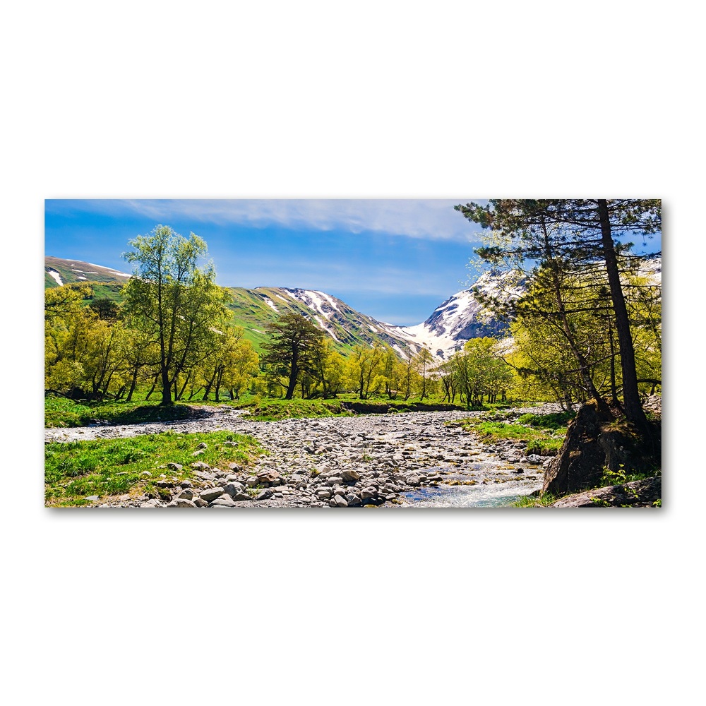 Tableau en verre Rivière dans les montagnes