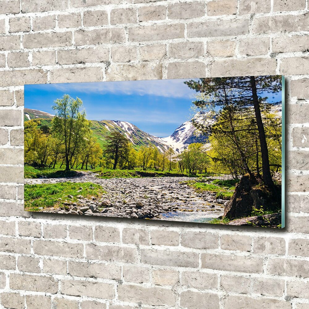 Tableau en verre Rivière dans les montagnes