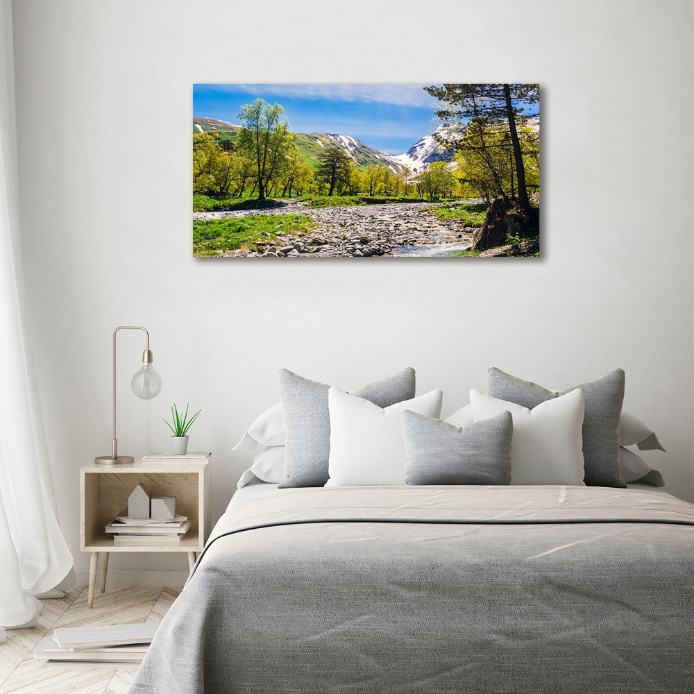 Tableau en verre Rivière dans les montagnes