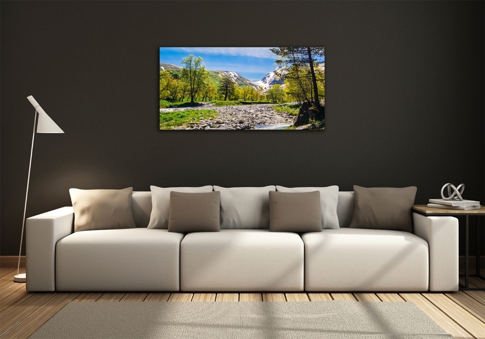 Tableau en verre Rivière dans les montagnes