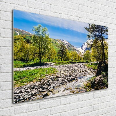 Tableau en verre Rivière dans les montagnes