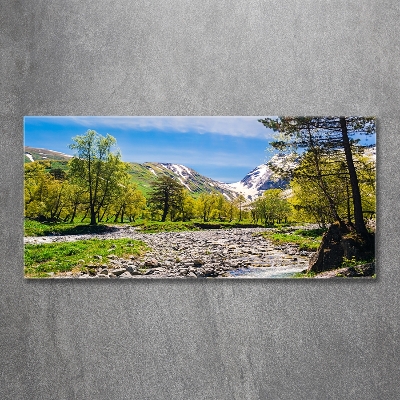 Tableau en verre Rivière dans les montagnes