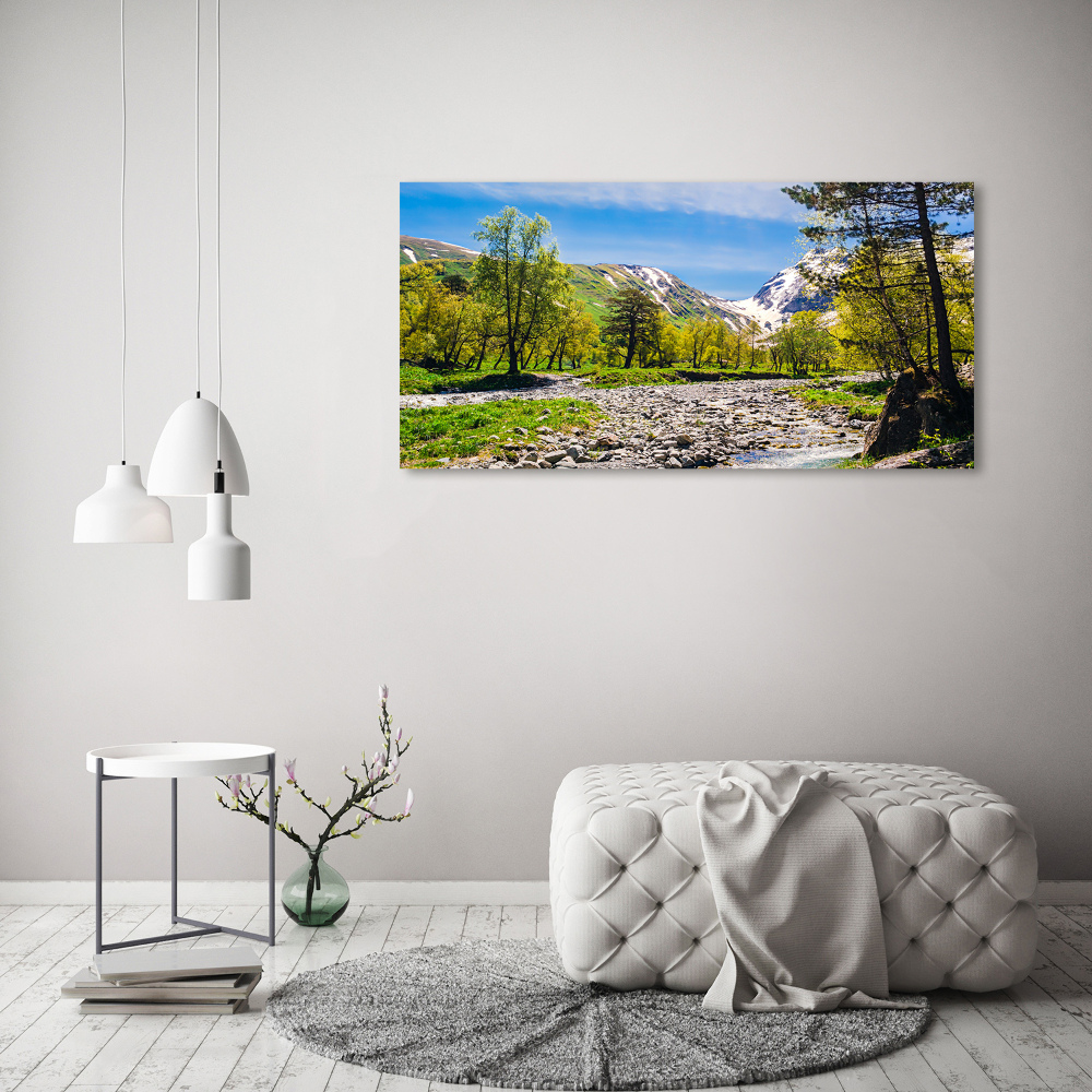 Tableau en verre Rivière dans les montagnes