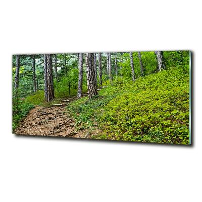 Tableau imprimé sur verre Chemin de forêt