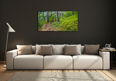 Tableau imprimé sur verre Chemin de forêt