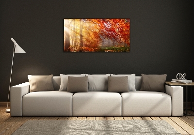 Tableau en verre La forêt d'automne