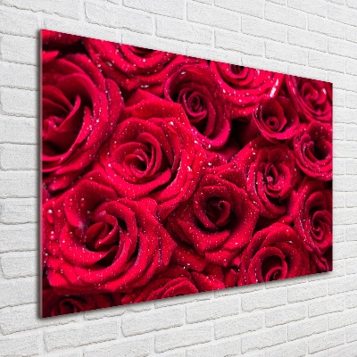 Tableau verre imprimé Gouttes sur roses