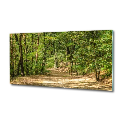 Tableau photo sur verre Sentier forestier