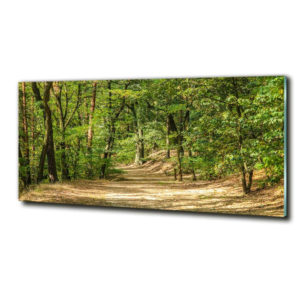 Tableau photo sur verre Sentier forestier