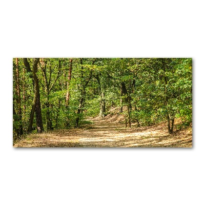 Tableau photo sur verre Sentier forestier