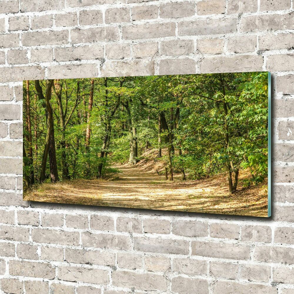 Tableau photo sur verre Sentier forestier