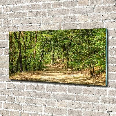 Tableau photo sur verre Sentier forestier