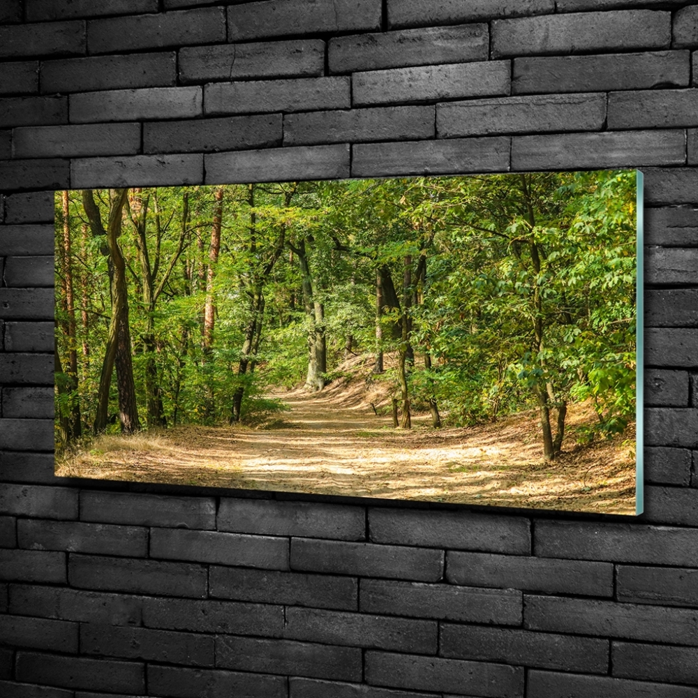 Tableau photo sur verre Sentier forestier