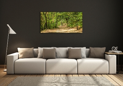 Tableau photo sur verre Sentier forestier