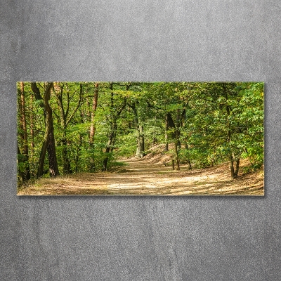 Tableau photo sur verre Sentier forestier