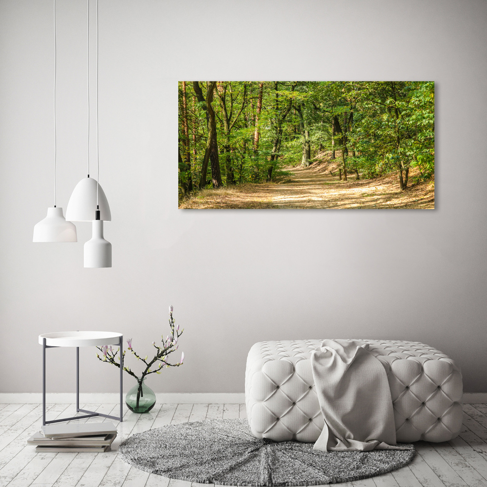 Tableau photo sur verre Sentier forestier