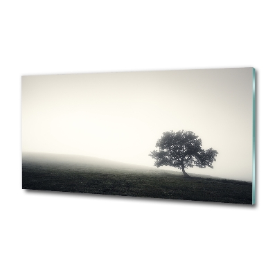 Tableau sur verre Arbre solitaire