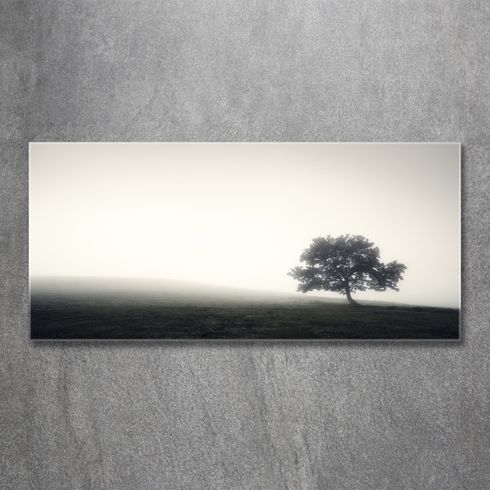 Tableau sur verre Arbre solitaire