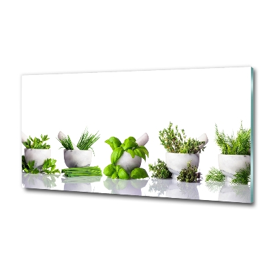 Tableau sur verre Herbes