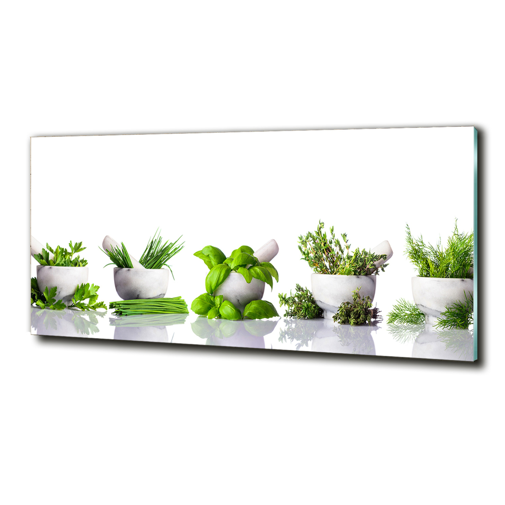 Tableau sur verre Herbes