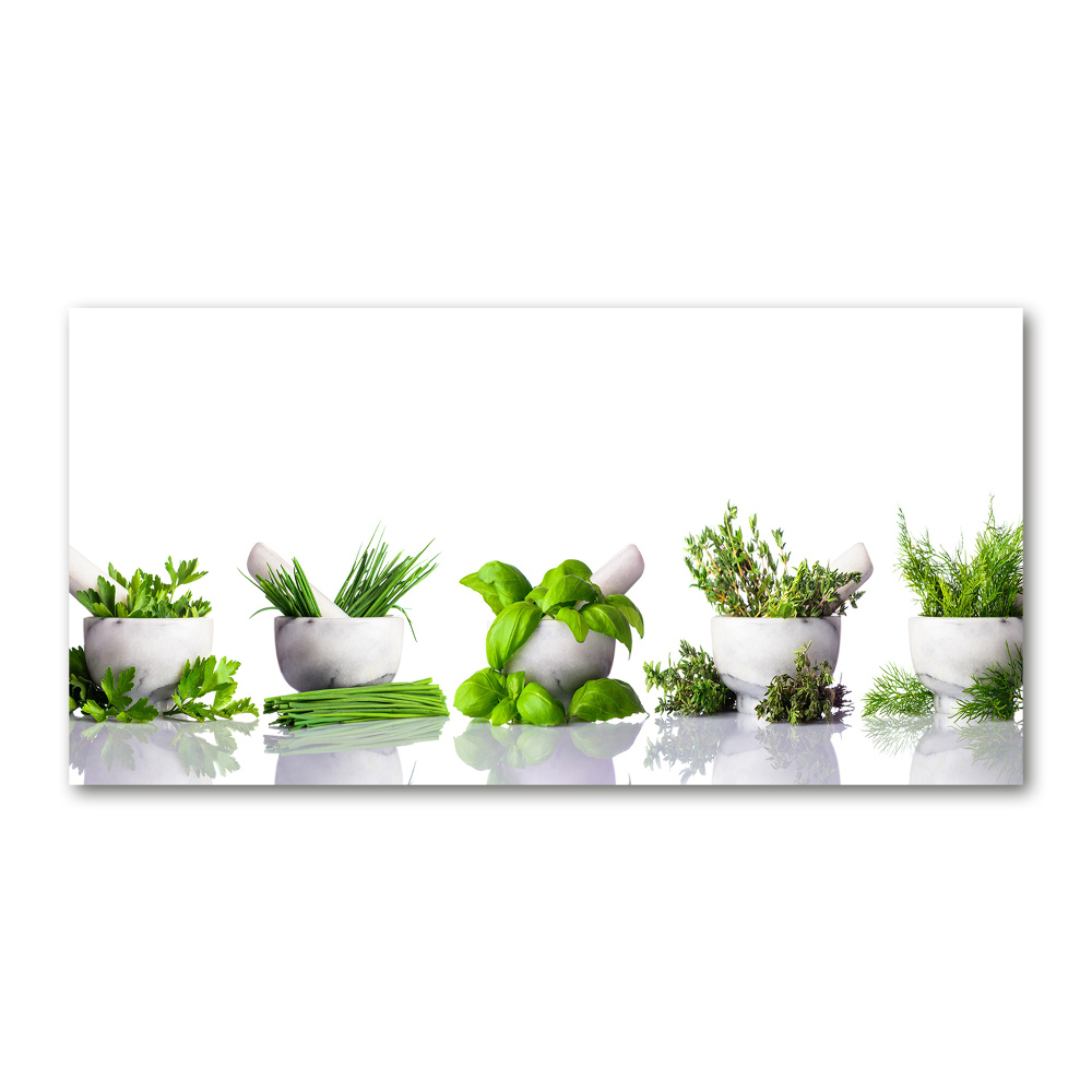 Tableau sur verre Herbes