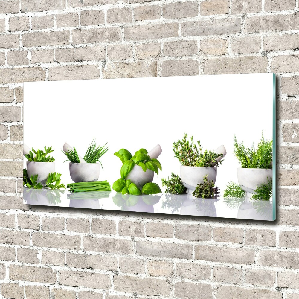 Tableau sur verre Herbes