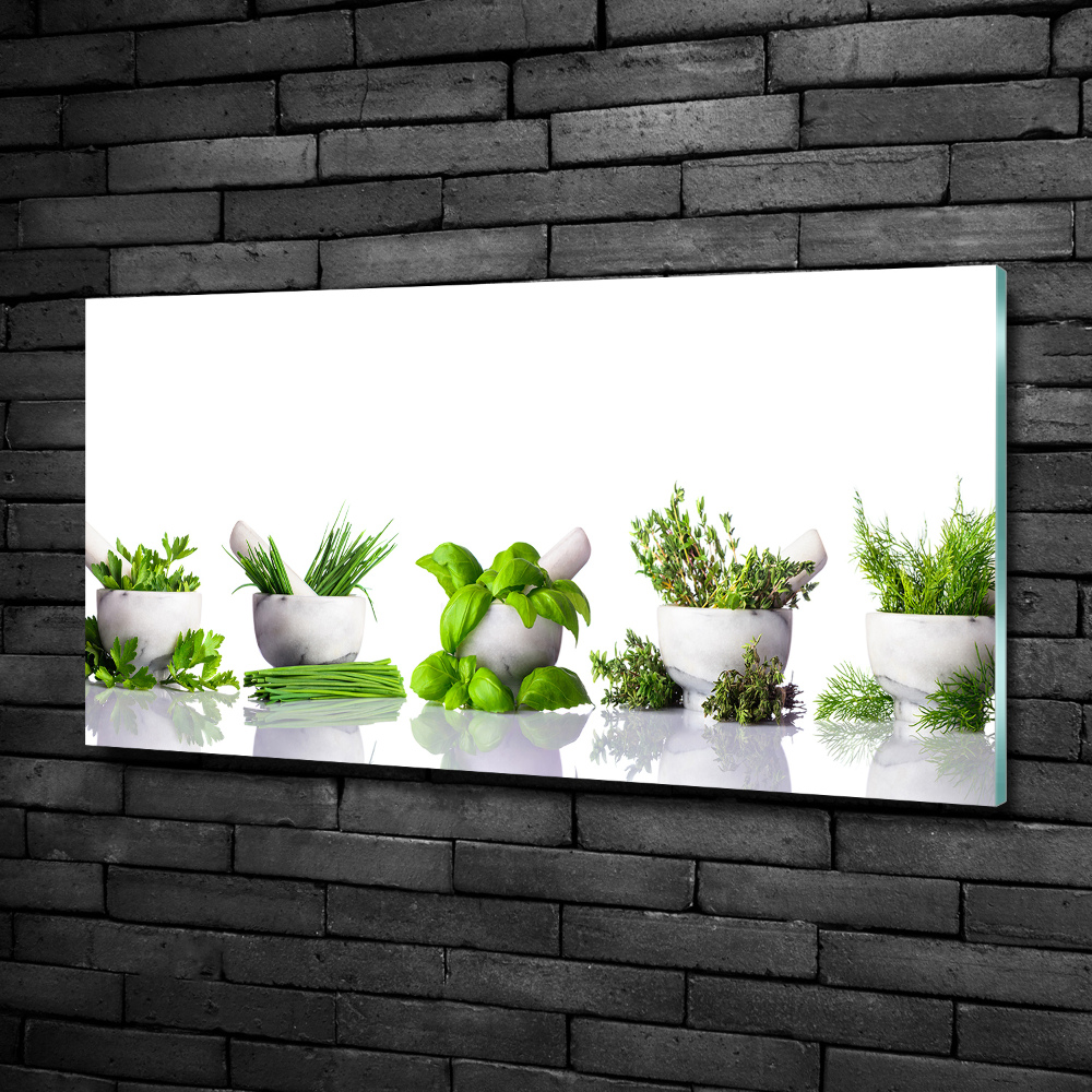 Tableau sur verre Herbes