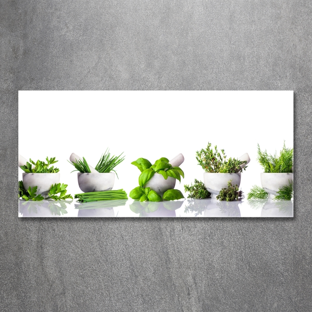 Tableau sur verre Herbes