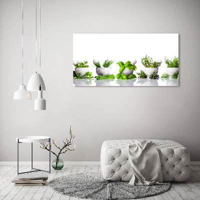 Tableau sur verre Herbes